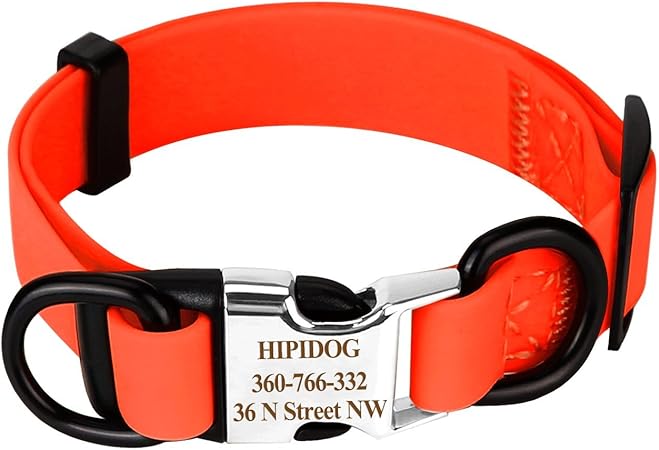 orange dog collar with nameplate