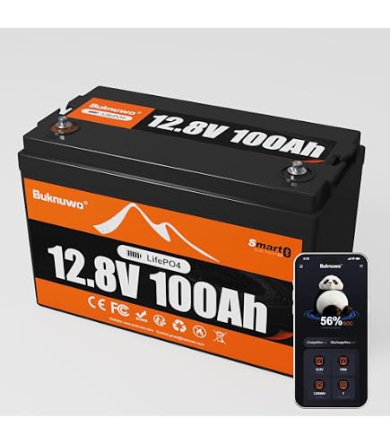 Amazon.com: Li Think 12.8V 100Ah LiFePO4 Battery, 4000+ Deep