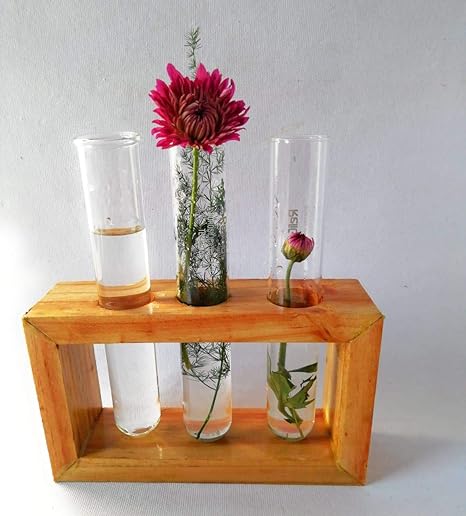 Angiras Wall Hanging Wood Frame Borosilicate Test Tube Flower Bud Vase Tabletop Glass Terrarium Planter | Perfect for Propagating Hydroponic Plants | Home Garden Office Decoration