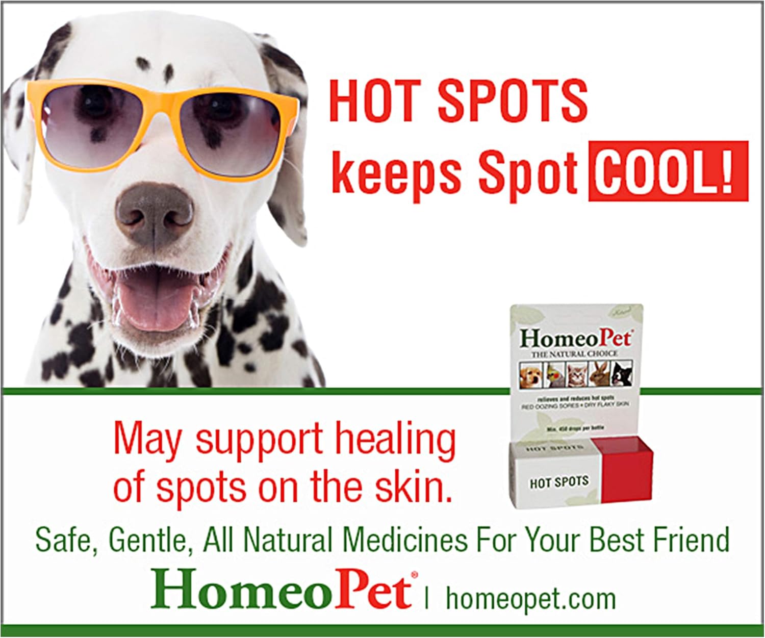 HomeoPet Hot Spots : Pet Itch Remedies : Pet Supplies