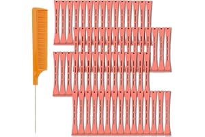 SHEHARUHI 60 Pieces Hair Perm Pods Plastic Perming Rods Cold Wave Rods Curlers Hair Rollers with 1 Pieces Steel Pintail for Hairdressing Styling(Red, 1.3 cm/0.51 Inch)
