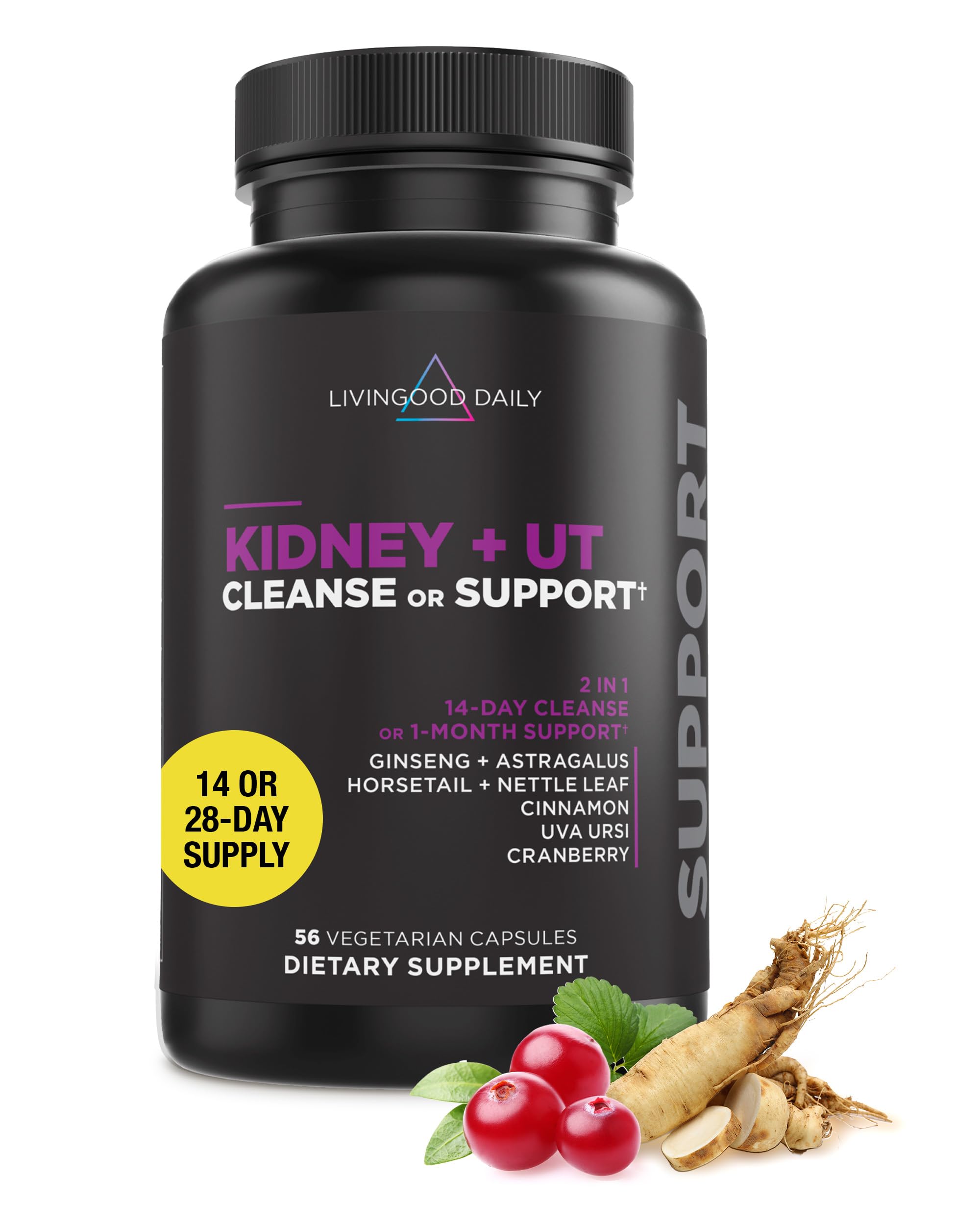Kidney + UT