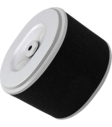 Briggs & Stratton 595435 Filter-AC Kartusche – Originalersatzteil Für Rasenmäher & Kleingeräte