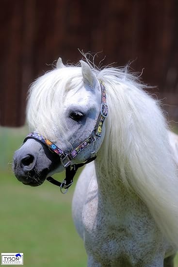Halfter Blümi Minishetty Fohlen Falabella Mini Pony Shetty Minipony Schwarz mit Blümchen Tysons