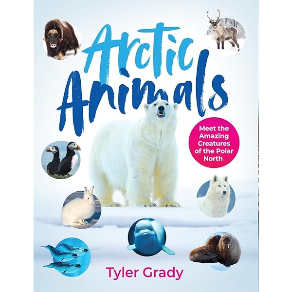 Arctic Tundra: Silver, Donald M., Wynne, Patricia: 9780070579279