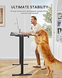 ErGear Height Adjustable Electric Standing Desk, 63