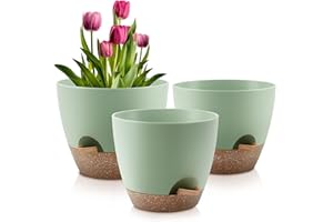 QRRICA Plant Pots 10/9/8 Inch Self Watering Pots, Set of 3 Plastic Planters with Drainage Holes and Saucers,Plastic Flower Pots,Nursery Planting Pot for Indoor Outdoor Plants（Green）