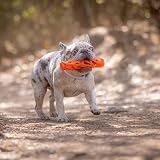 Chuckit! Breathe Right Stick Large Dog Fetch Toy view 6