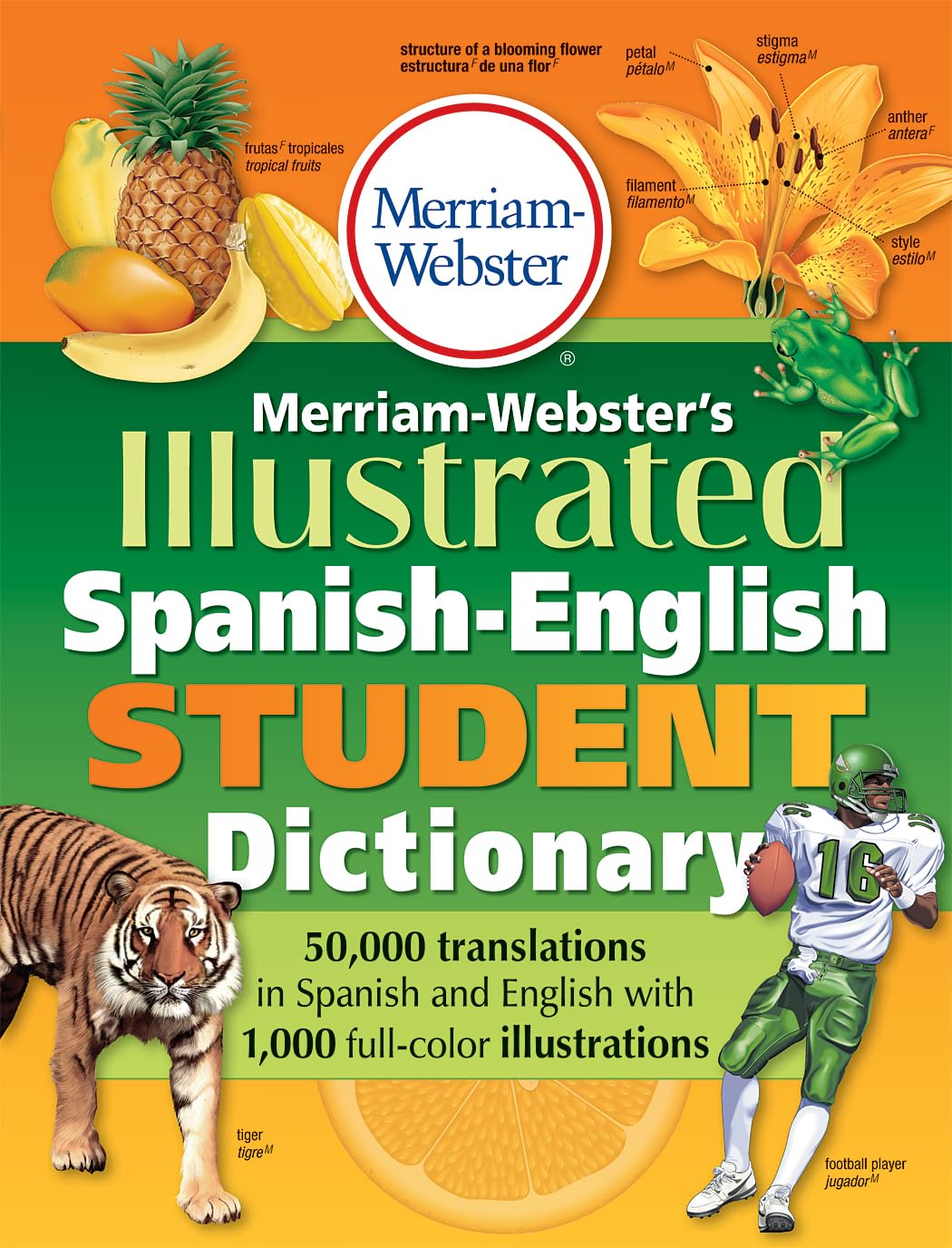 Merriam-Webster's Illustrated Spanish-English Student Dictionary, Newest Edition, (Spanish & English Edition) (English and Spanish Edition) Merriam-Webster's Illustrated Spanish-English Student Dictionary, Newest Edition, (Spanish & English Edition) (English and Spanish Edition) Paperback Library Binding