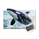NexiGo 100-Inch Fresnel Projector Screen for Bright