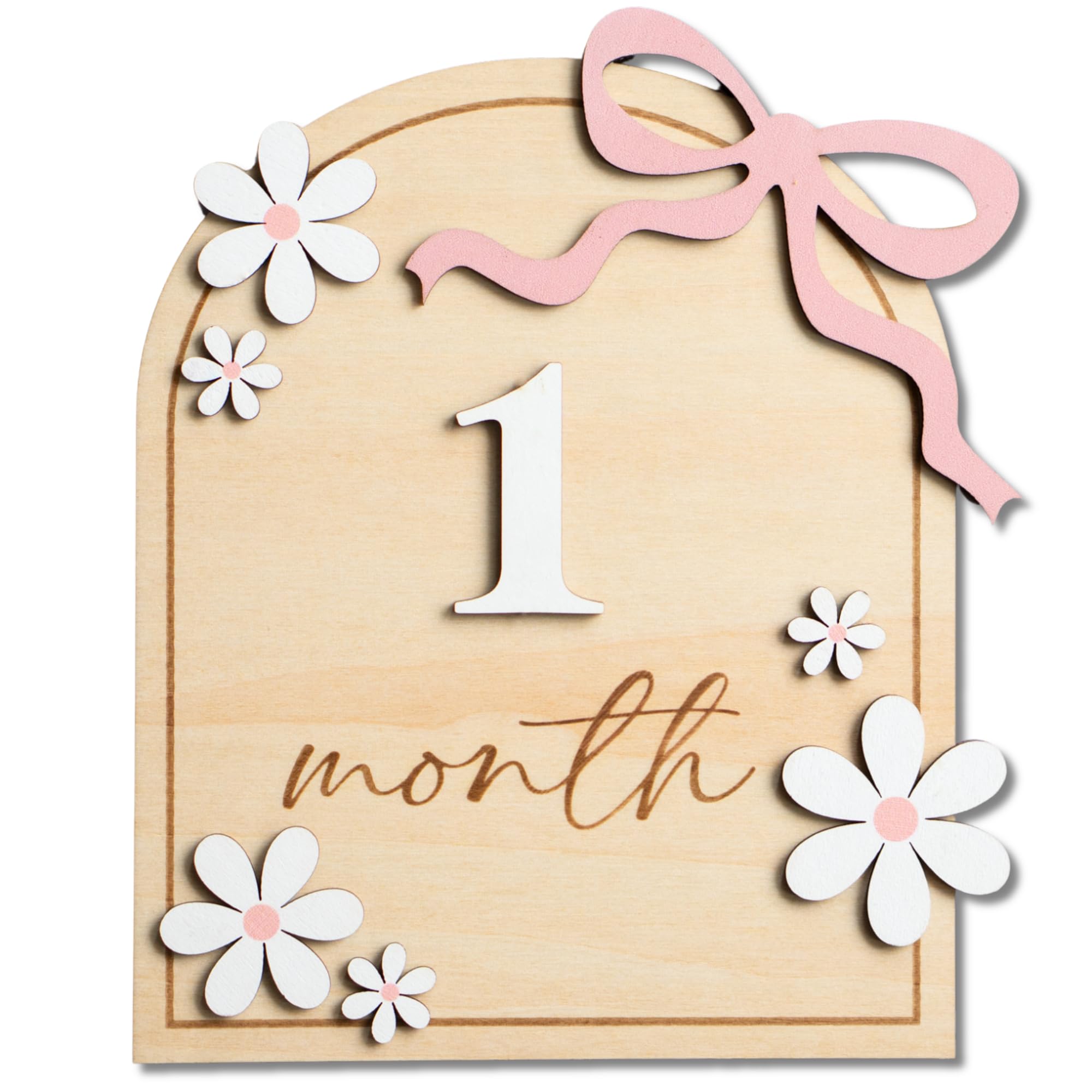 Photo 1 of Baby Monthly Milestone Sign,1-12 Monthly Baby Milestone, Month Milestone Baby Girl, Baby Months Milestone, Newborn Photography Props Double-Sided (B14)