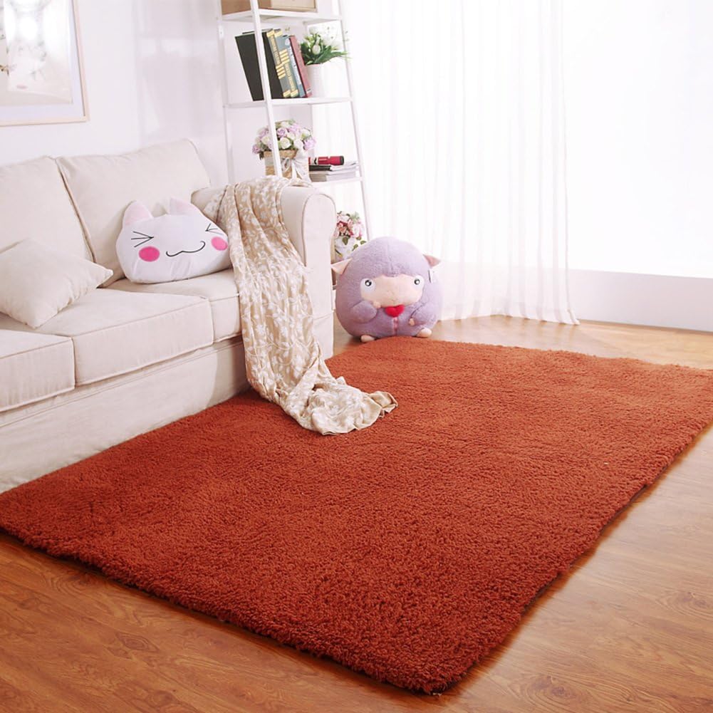 Bbdsj Simple carpet Modern bedside blanket Include door mat Solid color carpets Machine washable Multiple colors.-B 160x230cm(63x91inch)