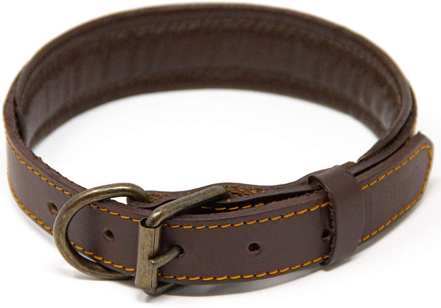 best dog collar for long hair