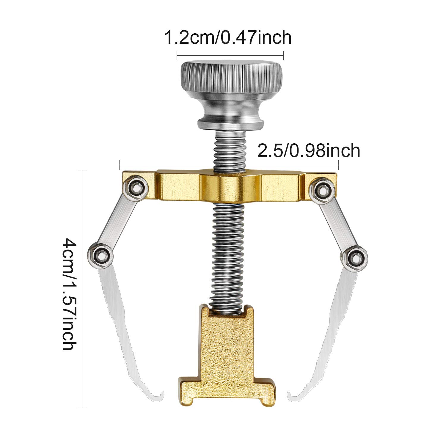2 Pieces Ingrown Toenail Lifter Ingrown Toenail Tool Toe Clamp Stainless Steel Foot Care Tool for Paronychia (Gold): Beauty