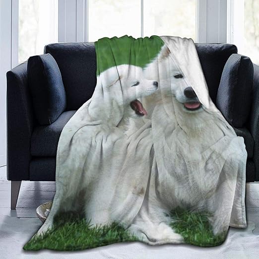 Amazon Com Yongcoler Comfy Soft Sherpa Flannel Fleece Throw