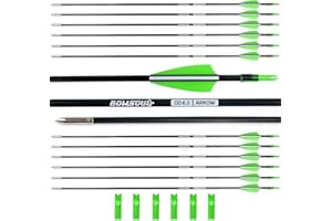 BOWSOUL 31“ Archery Arrows Training Practice Target Arrows for Kids Youth or Beginners Streamlined Points Durable Shaft on Recurve Bows Youth Bow and Longbows(Pack of 12)