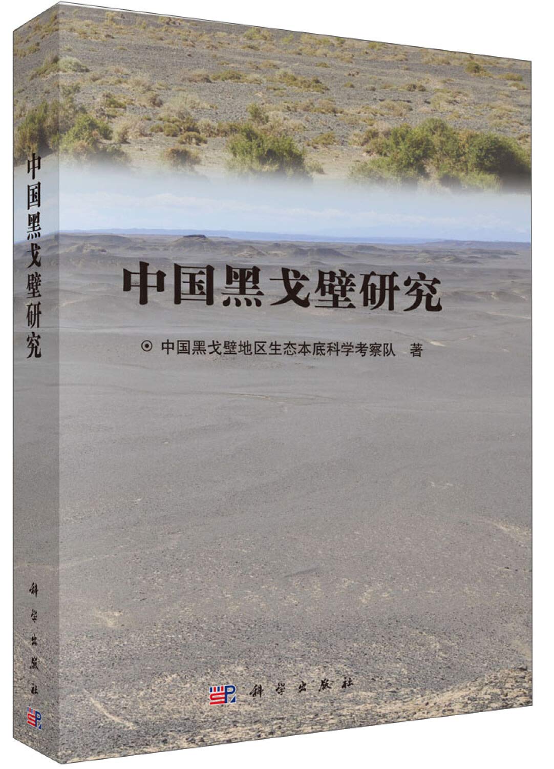 中国黑戈壁研究 中国黑戈壁地区生态本底科学考察队 Amazon Com Books