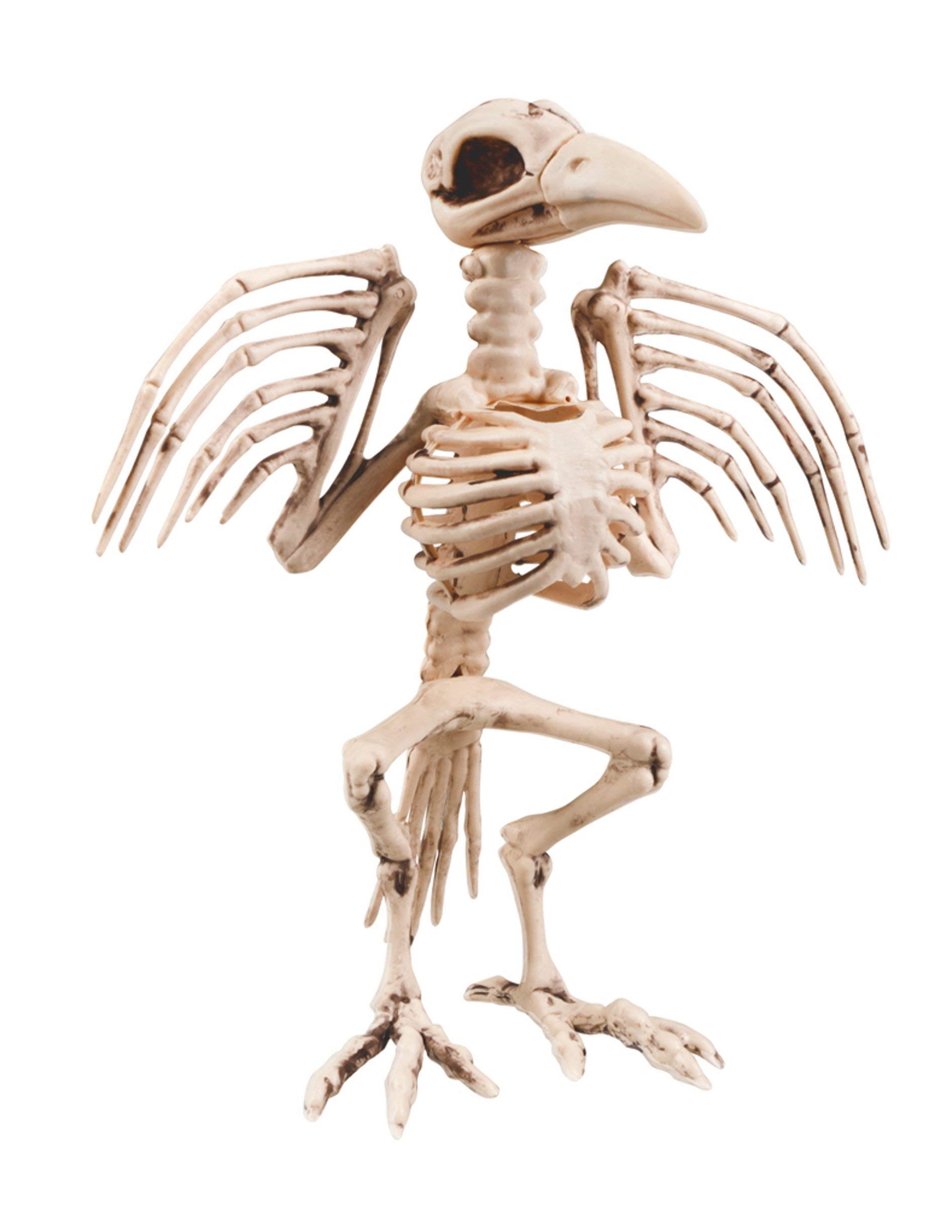 Boland 32 Cm Crow Skeleton Decoration – Large Halloween Bird Skeleton Prop for Haunted House, Spooky Party Décor, Window & Table Display, Creepy Accessory for Horror-Themed Events