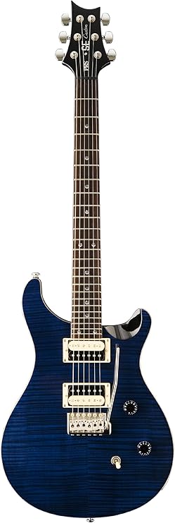 PRS SE Custom 24 Guitar