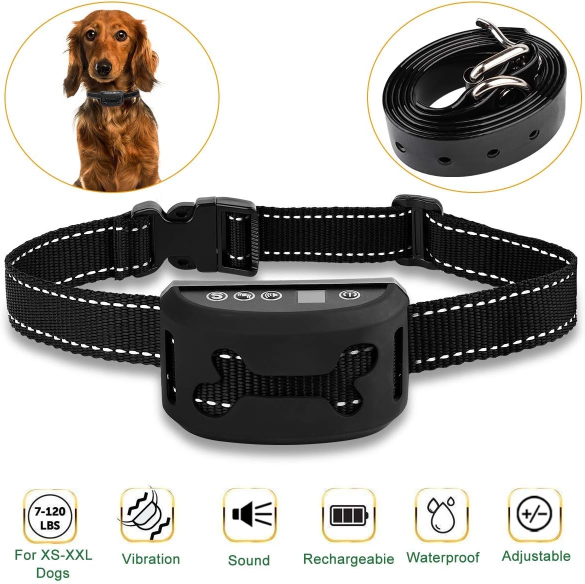 male wrap dog diapers