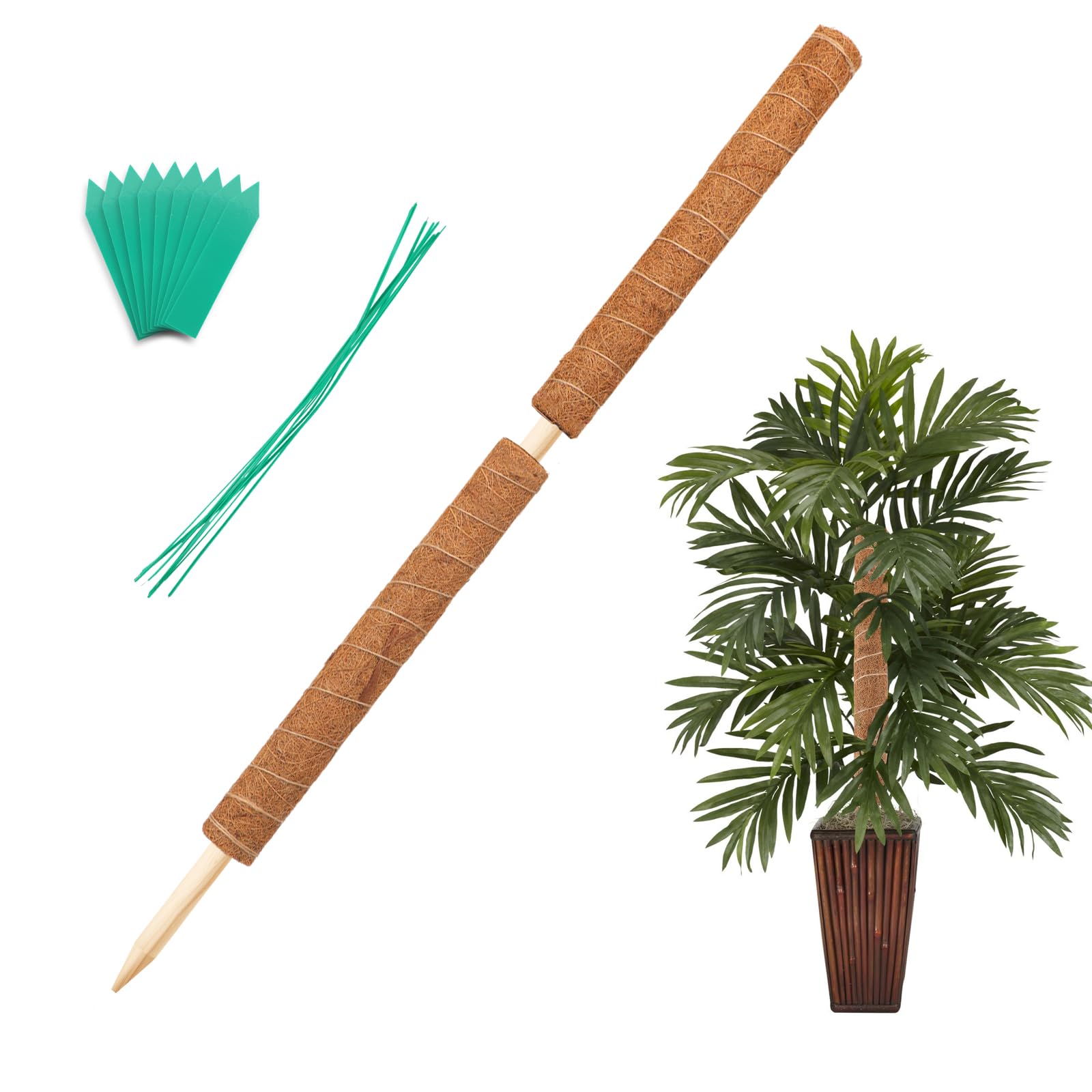 Augshy 34 Inch Moss Pole, 2 Pack 19.5 Inch Moss Poles for Climbing Plants Monstera, Moss Sticks for Indoor Plant Support Plant Stakes for Indoor Climbing Plants Grow Upwards with Garden Ties — image 1