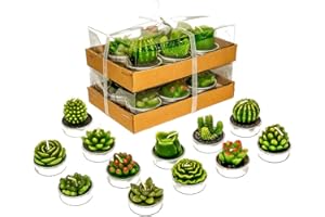 Phyther Cactus Tealight Candles, Unscented Decoration Tea Lights Candle, for Decor, Party Favors, Wedding, Baby, and Bridal S