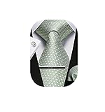 HISDERN Men Tie Sage Green Ties for Men Silk Woven