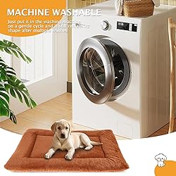 Vetasac Reversible Dog Bed Mat with Plush and Corn