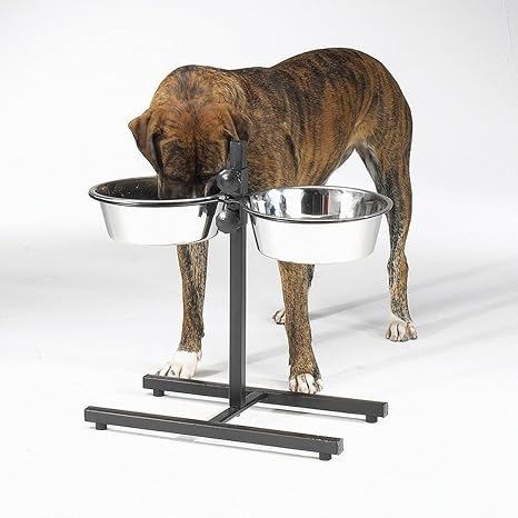 great dane dog bowls elevated