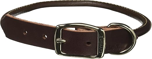 circle t leather dog collars