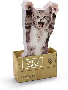 Amazon Com Mustard Sticky Post Notes Memo Pad Cat In A Box Office Products