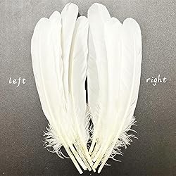 50pcs White Feathers 8~10 in,Beautiful Bulk Long