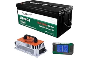 OGRPHY 36V Lithium Battery with Charger and LCD Monitor, 36V 100AH Lithium Golf Cart Battery with 200A BMS, 3.84kWh 36V Battery with 7.68kW Output, 1000A Peak Current for Golf Cart, Trolling Motor, RV