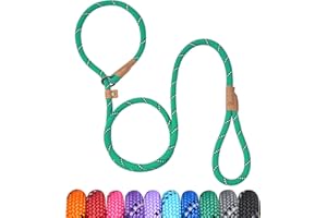 Petarea 5 FT Slip Lead, Heavy Duty Rope Dog Leash for Small Medium Large Dogs, No Pull Training Lead with Reflective Thread, Strong Comfortable Loop Leash (Green Stripe, Medium(3/8"))