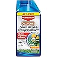 BioAdvanced All-In-One Lawn Weed and Crabgrass Killer I, Concentrate, 40 oz