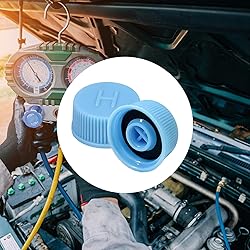 povtii Replacement Valve Caps for Car Air