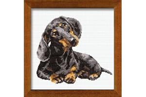 RIOLIS - Dachshund 906, Dogs Cross Stitch Kits 9,84" x 9,84", Counted Cross Stitch Kits, Counted Cross Stitch Kits for Beginners & Advanced, Cross Stitching Kits for Adults, Dog Embroidery Kit