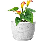 Meowell 6/5/4 Inch Plant Pots, 3 Pack Cylinder Flower Pots For Small Indoor Outdoor Plants, Plastic Planters With Drainage Holes And Saucers For Garden Succulent House Plants, Speckled White