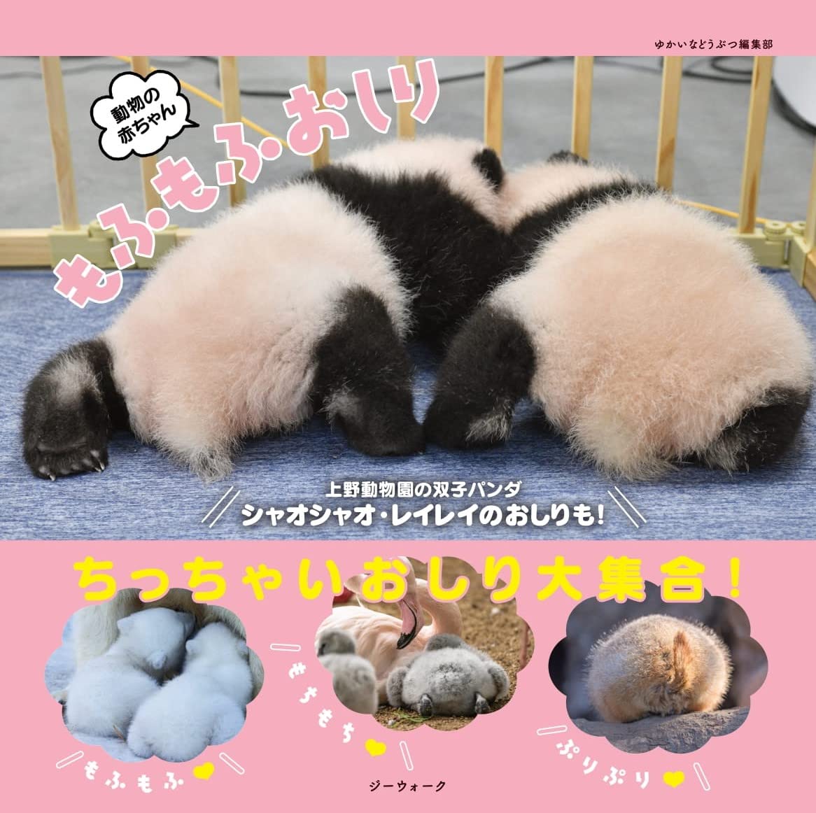 動物の赤ちゃん もふもふおしり テキスト ゆかいな動物編集部 本 通販 Amazon 動物の赤ちゃん もふもふおしり テキスト ゆかいな動物編集部 本 通販 Amazon