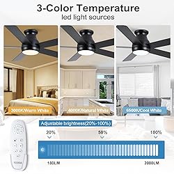 POCHFAN 52 Inch Black Ceiling Fans with Lights and