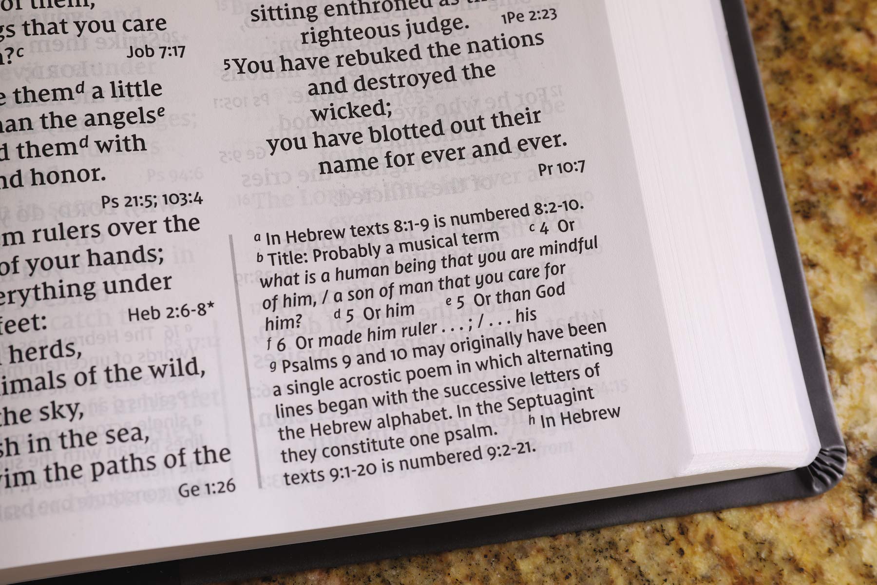 NIV, Super Giant Print Reference Bible, Leathersoft, Gray, Red Letter, Comfort Print Mar 13, 2018