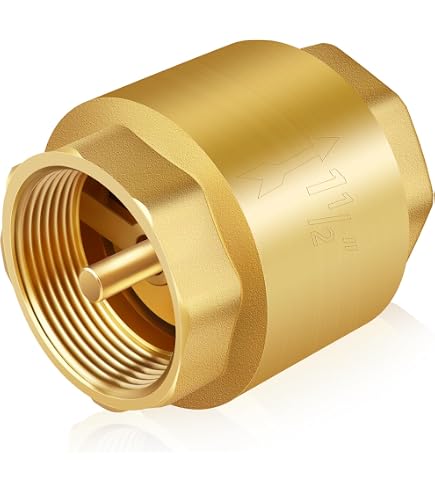 Eastman Brass Swing Check Valve, 1-1/2 Inch IPS, Brass Plumbing