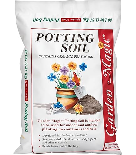 indoor small house plants 10 Pack Live Mini House Plants in 2” Pots, Indoor Plant Assortment –  Wicatet Farms main image 0
