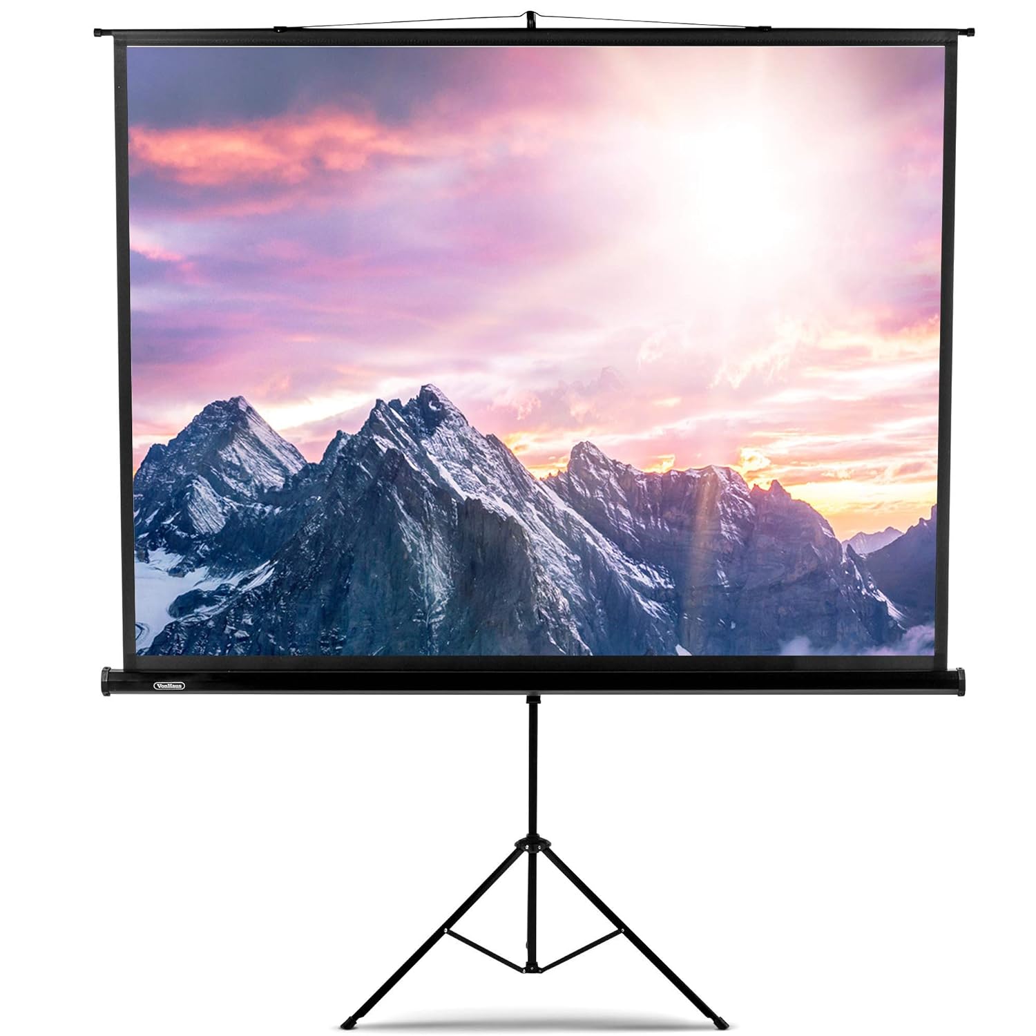 Best Mobile Tv Stand Flat Screen 100 Inches Under $100.00