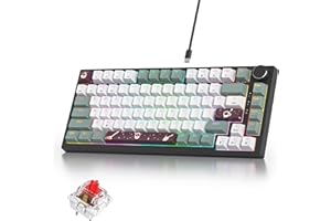 iRoboosta 75% Green Mechanical Gaming Keyboard, Hot Swappable RGB Custom Keyboard with Knob, Gasket Mount Wired TKL Red Switc