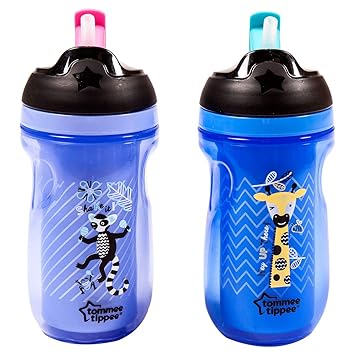 tommee tippee bottles 12