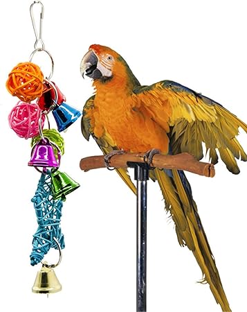 listerine for dogs skin