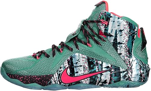 lebron shoes 12