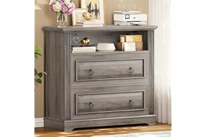 Itaar 2 Drawer File Cabinet, Farmhouse Filing Cabinet for Home Office Fits Letter, Legal, A4 Size, Wood Lateral File Cabinet with Printer Stand, Storage Shelf, Grey