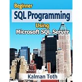 Beginner SQL Programming Using Microsoft SQL Server